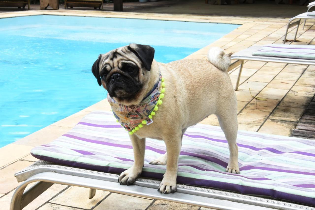 Pousada Portal Do Cacau-Petfriendly Camburi  Zewnętrze zdjęcie